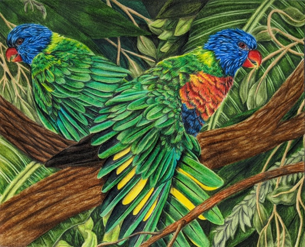 Two Lorikeets