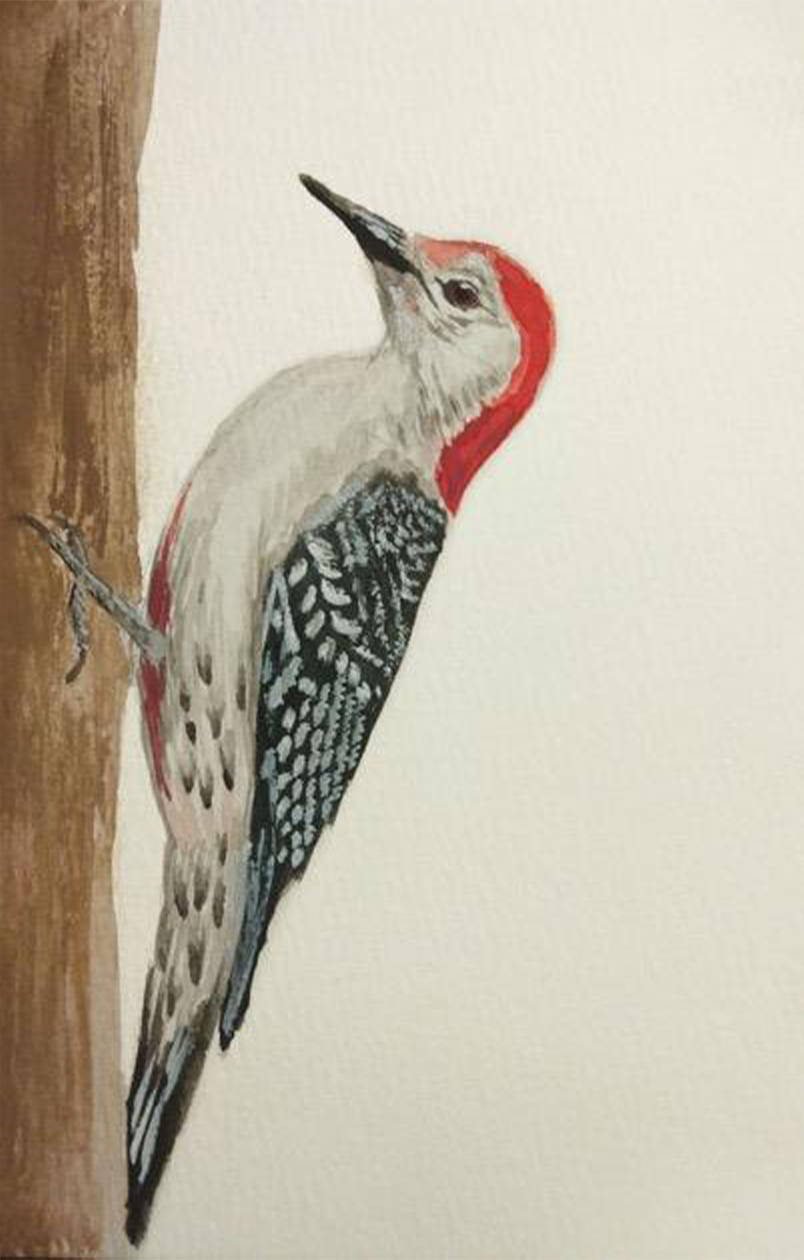 Jessica Morris - Woodpecker