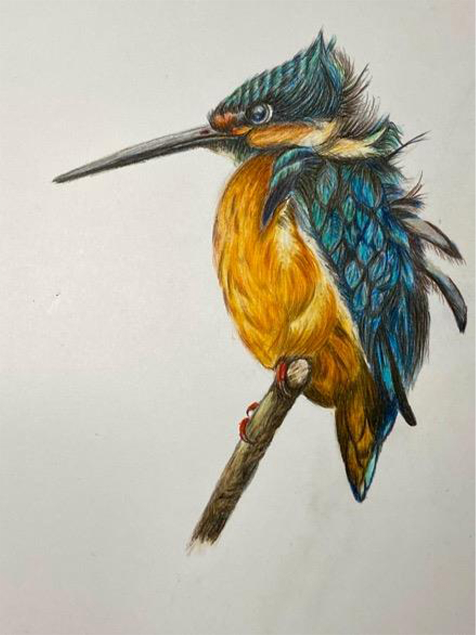 Lu Cheng - Kingfisher